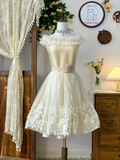 New Simple Beige Lace A-line Tulle Short Homecoming Dresses HZ1024