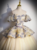 Champagne Floral Tulle Long Formal Dress, Off the Shoulder A-Line Evening Party Gown HZ1024