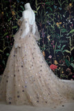 Champagne Tulle Long Prom Dress, Off the Shoulder Evening Dress with Stars HZ1024